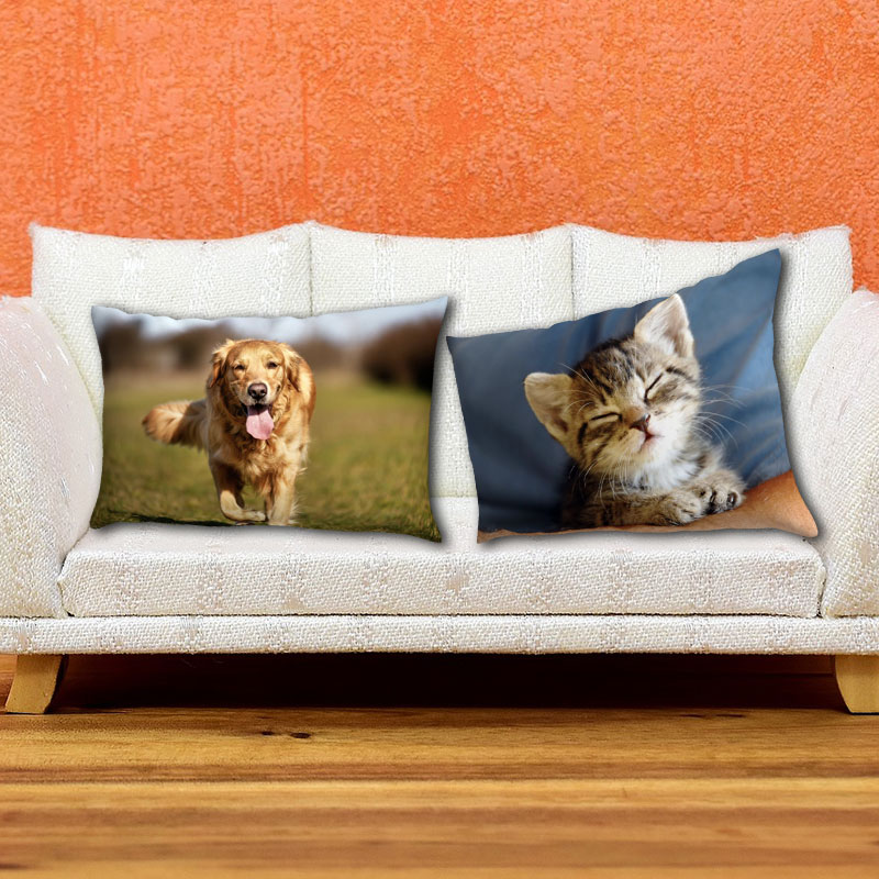 Printed Pillows